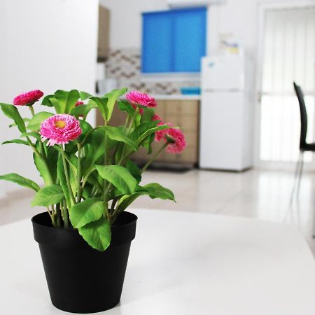 Duplex Comfort Apartments Larnaca Exterior foto